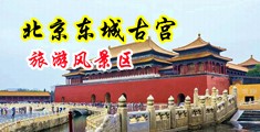 安全免费操逼网站中国北京-东城古宫旅游风景区